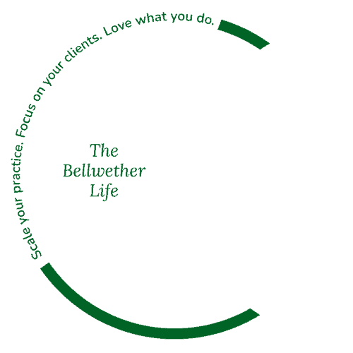 Circular graphic with text "the balachka you see" and "it" at the endpoints, suggesting a circle reflection or a looped concept.